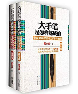 《大手笔是怎样炼成的:(实践篇+理论篇)(套装共2册)》PDF电子书下载