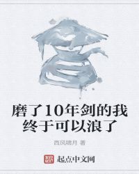 磨了10年剑的我终于可以浪了